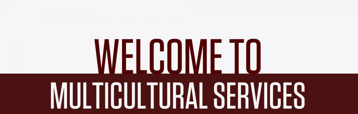 Maroon and white background with text that reads Welcome to Multicultural Services